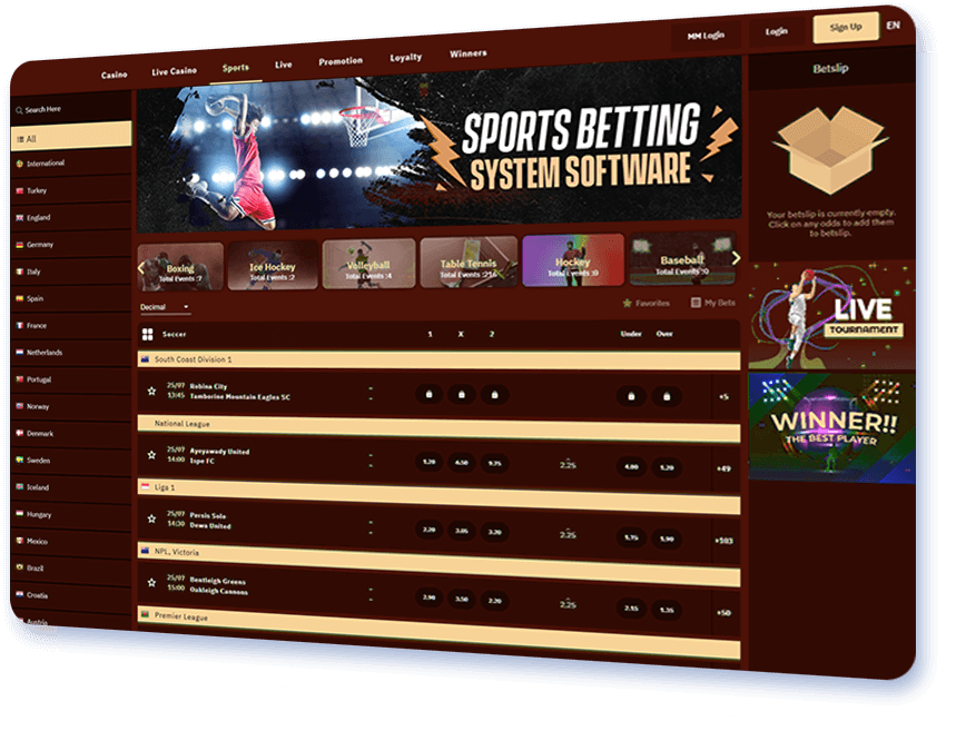 Sports Betting System Software