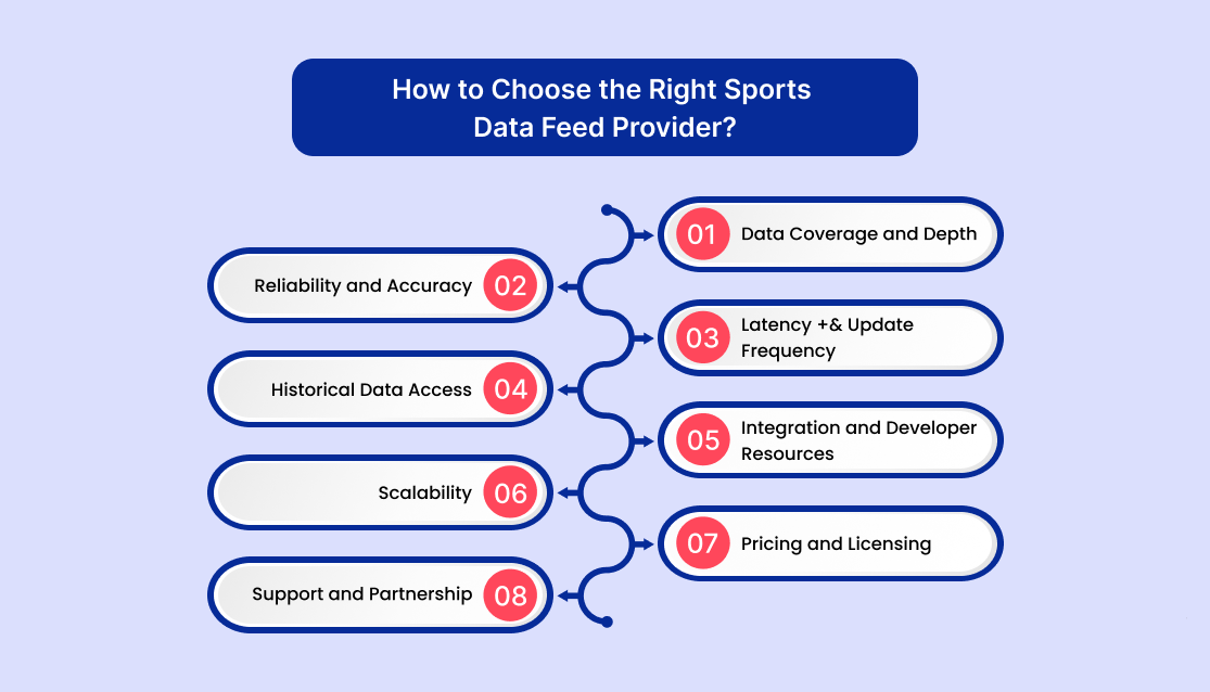 How to Choose the Right Sports Data Feed Provider?