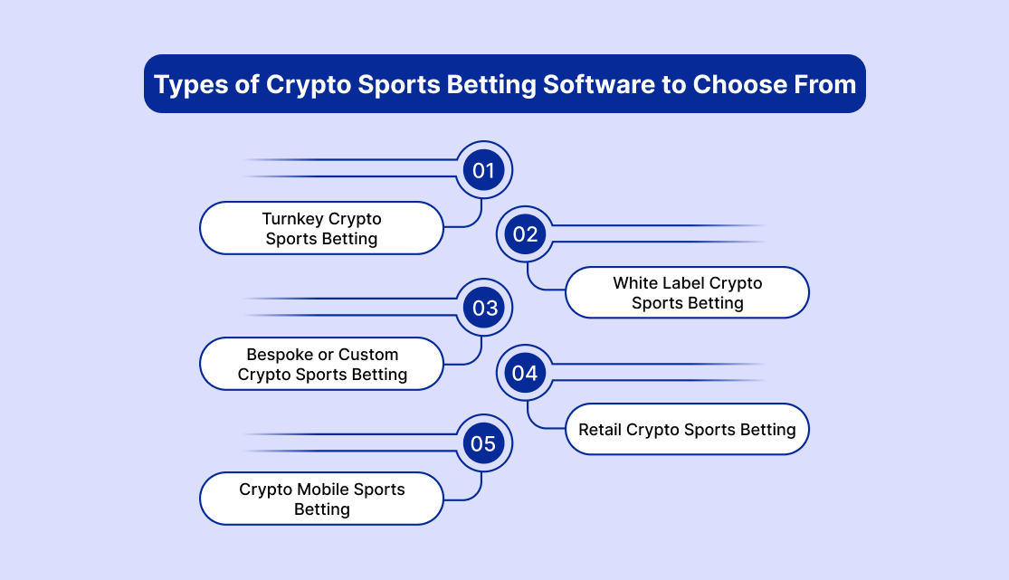 Types of Crypto Sports Betting Software to Choose From